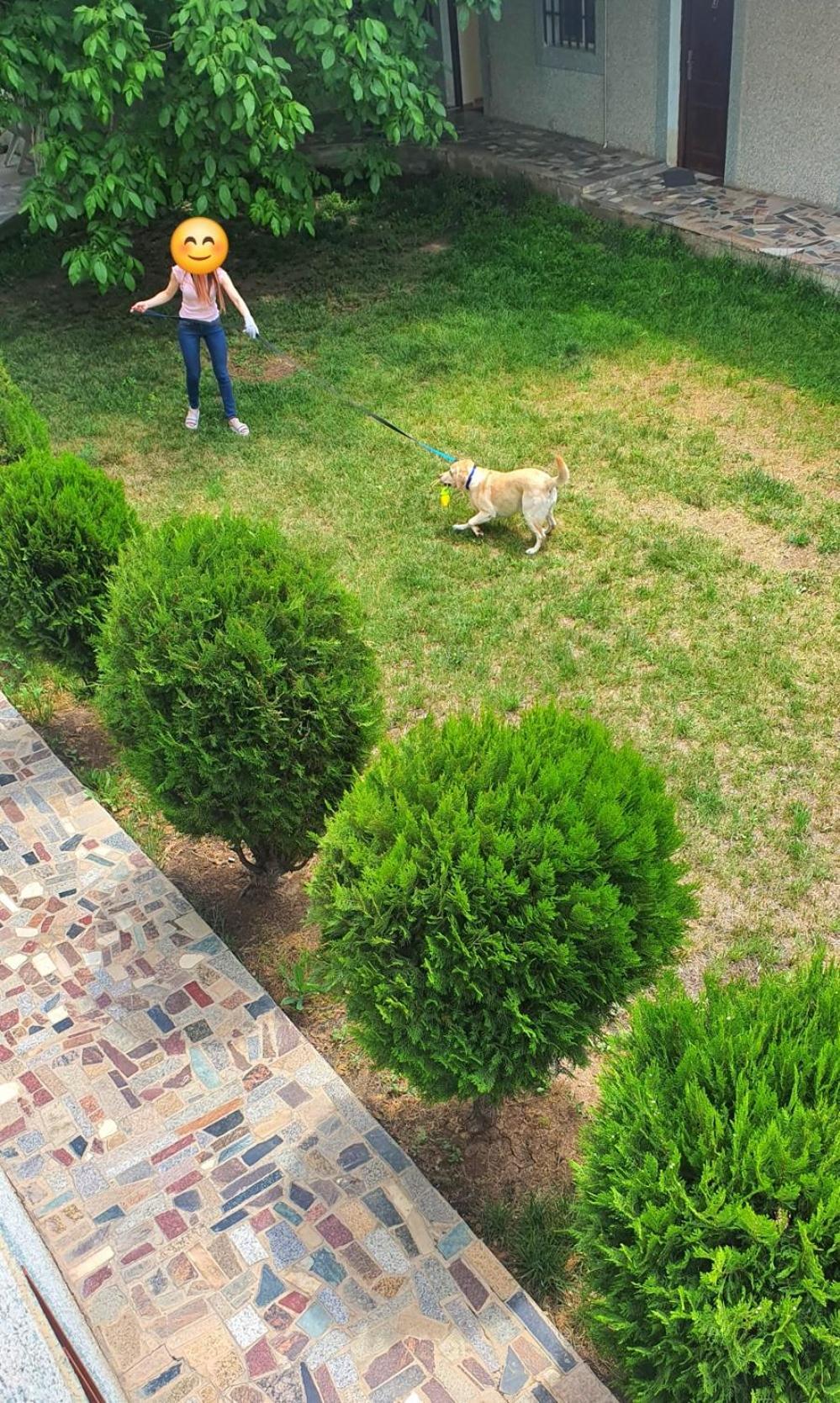 Kesabella Touristic House Panzió P'arak'ar Kültér fotó
